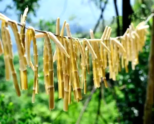 吃春笋，不可辜负的至鲜皖味